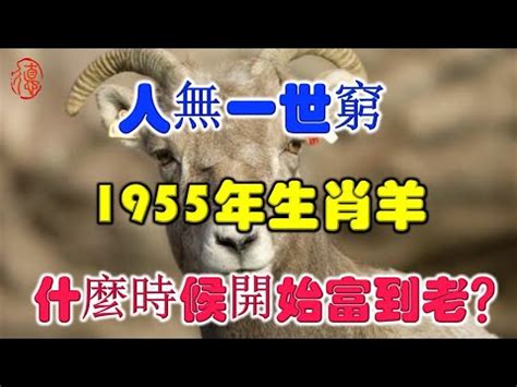 1955屬什麼|【1955年屬相】1955年出生的屬相大全 運勢解析